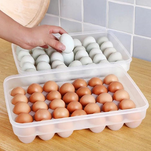 Egg Tray β Clear Plastic