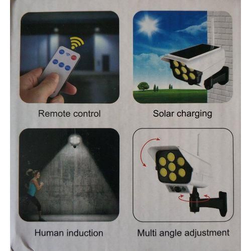 Motion censor solar light/Lamp