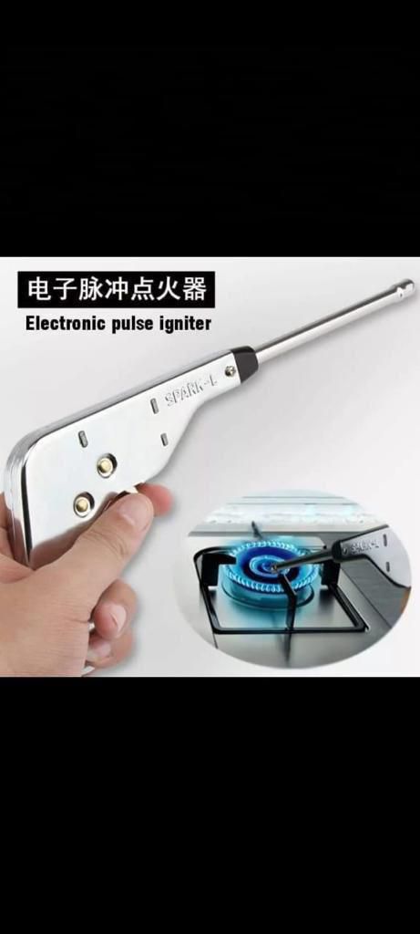 Electric pulse igniter