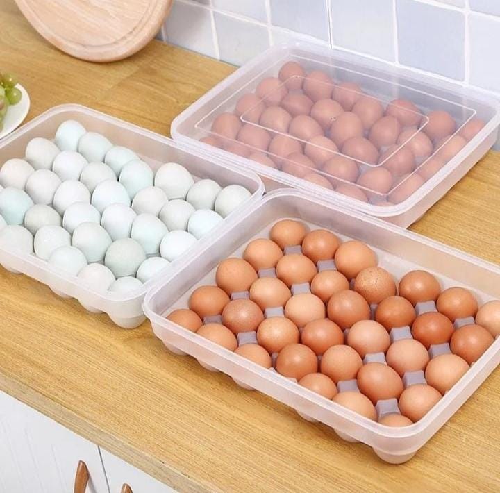 Egg Tray – Clear Plastic