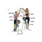 Max Climber Vertical Exercise Machine | Full-Body Home Workout